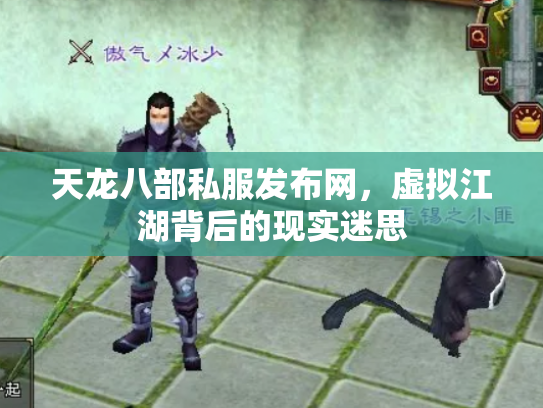 天龙八部私服发布网，虚拟江湖背后的现实迷思