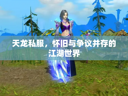 天龙私服，怀旧与争议并存的江湖世界