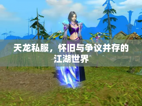 天龙私服，怀旧与争议并存的江湖世界