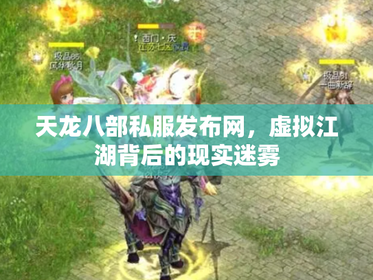 天龙八部私服发布网，虚拟江湖背后的现实迷雾