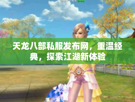 天龙八部私服发布网，重温经典，探索江湖新体验