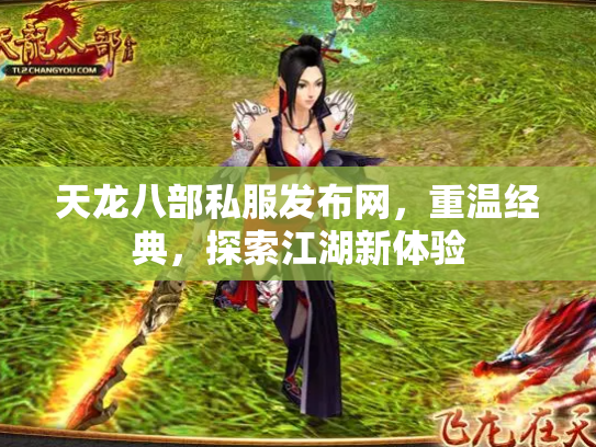 天龙八部私服发布网，重温经典，探索江湖新体验