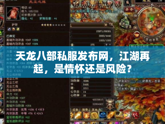 天龙八部私服发布网，江湖再起，是情怀还是风险？