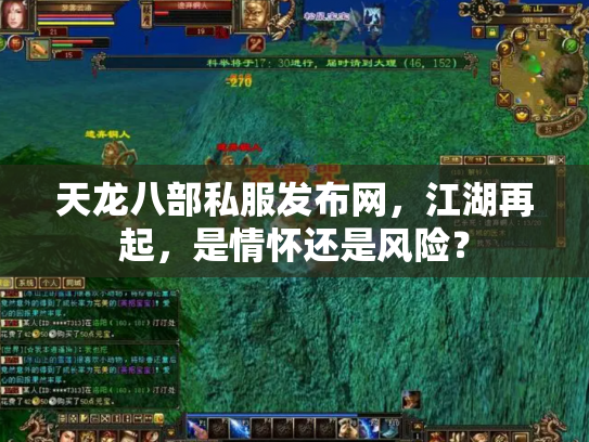 天龙八部私服发布网，江湖再起，是情怀还是风险？