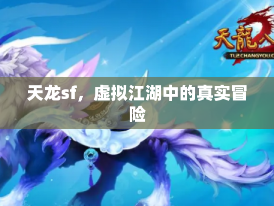 天龙sf，虚拟江湖中的真实冒险