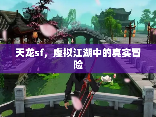 天龙sf，虚拟江湖中的真实冒险