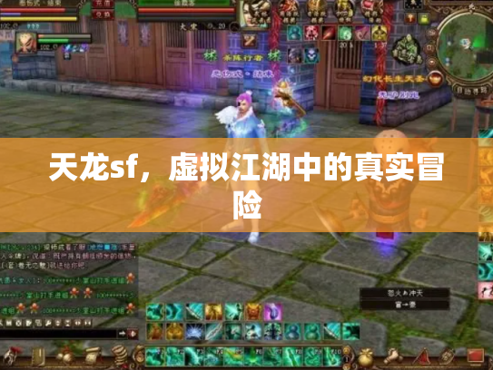 天龙sf，虚拟江湖中的真实冒险