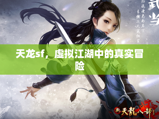 天龙sf，虚拟江湖中的真实冒险