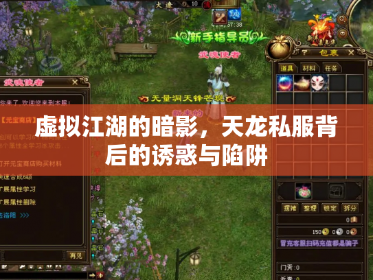 虚拟江湖的暗影，天龙私服背后的诱惑与陷阱