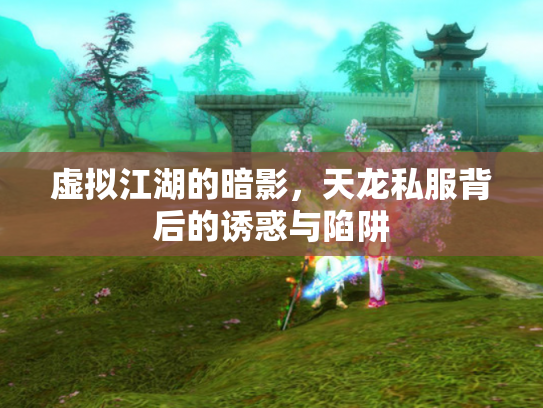 虚拟江湖的暗影，天龙私服背后的诱惑与陷阱