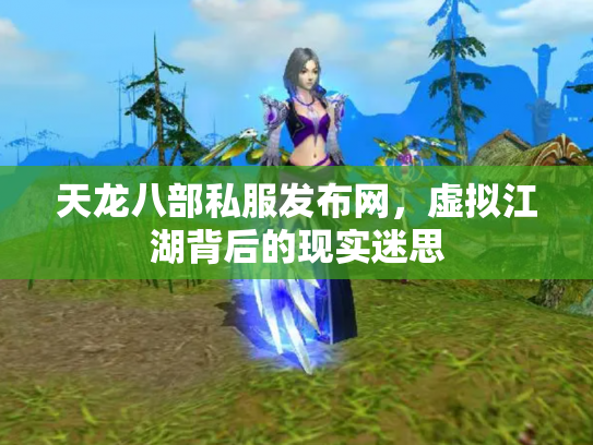 天龙八部私服发布网，虚拟江湖背后的现实迷思
