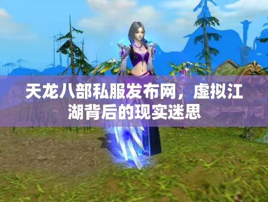 天龙八部私服发布网，虚拟江湖背后的现实迷思