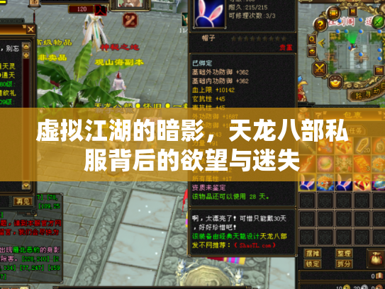 虚拟江湖的暗影，天龙八部私服背后的欲望与迷失