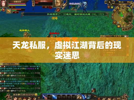 天龙私服，虚拟江湖背后的现实迷思