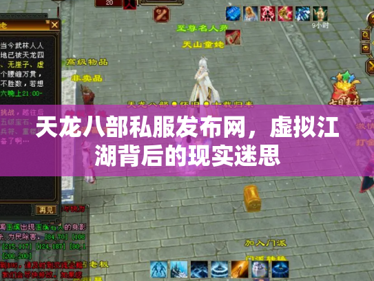 天龙八部私服发布网，虚拟江湖背后的现实迷思