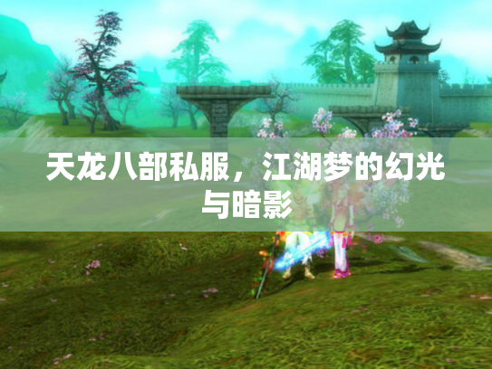 天龙八部私服，江湖梦的幻光与暗影