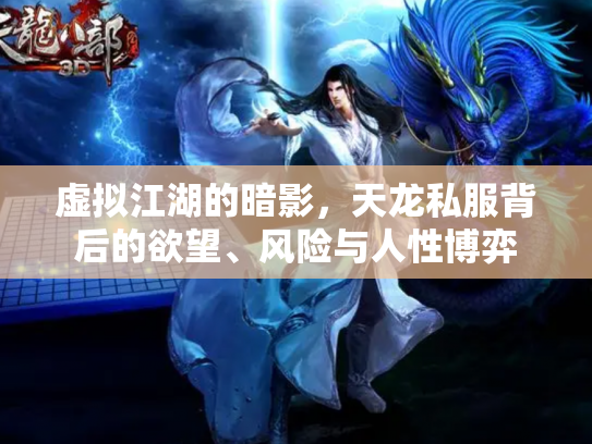 虚拟江湖的暗影，天龙私服背后的欲望、风险与人性博弈