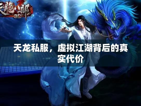 天龙私服，虚拟江湖背后的真实代价