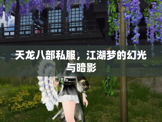 天龙八部私服，江湖梦的幻光与暗影