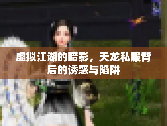 虚拟江湖的暗影，天龙私服背后的诱惑与陷阱