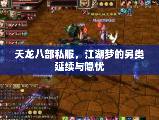 天龙八部私服，江湖梦的另类延续与隐忧