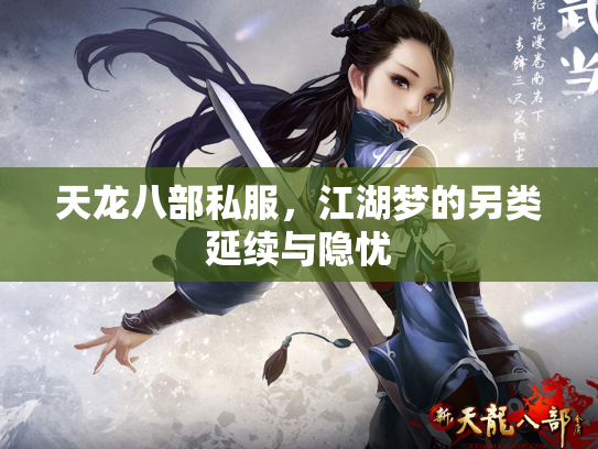 天龙八部私服，江湖梦的另类延续与隐忧