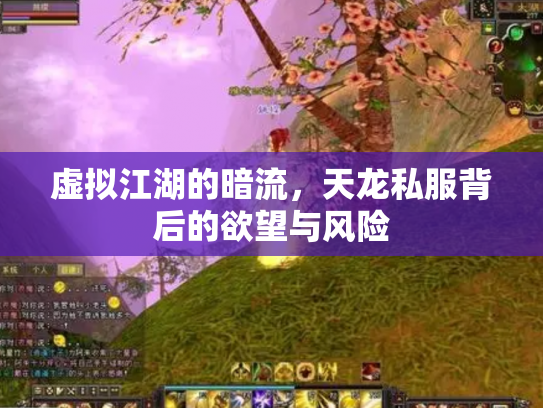 虚拟江湖的暗流，天龙私服背后的欲望与风险