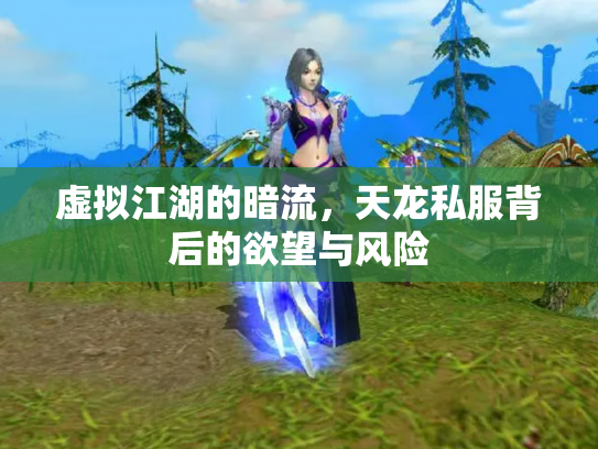 虚拟江湖的暗流，天龙私服背后的欲望与风险