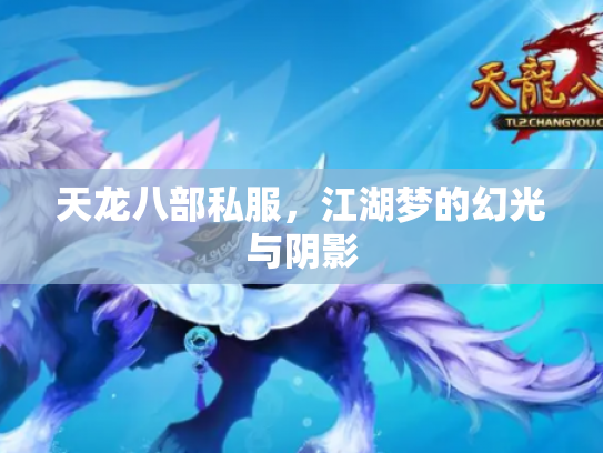 天龙八部私服，江湖梦的幻光与阴影