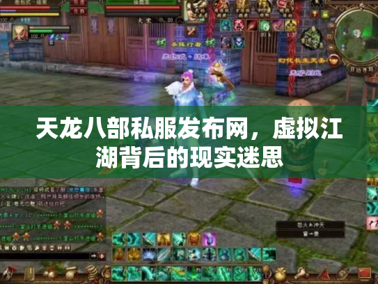 天龙八部私服发布网，虚拟江湖背后的现实迷思