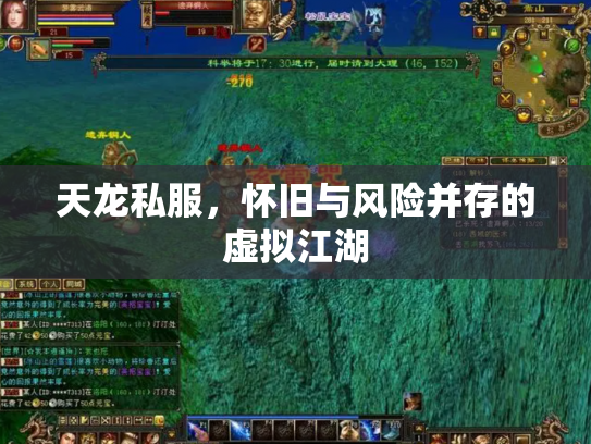 天龙私服，怀旧与风险并存的虚拟江湖
