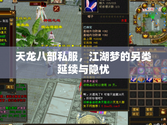 天龙八部私服，江湖梦的另类延续与隐忧
