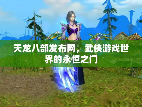 天龙八部发布网，武侠游戏世界的永恒之门