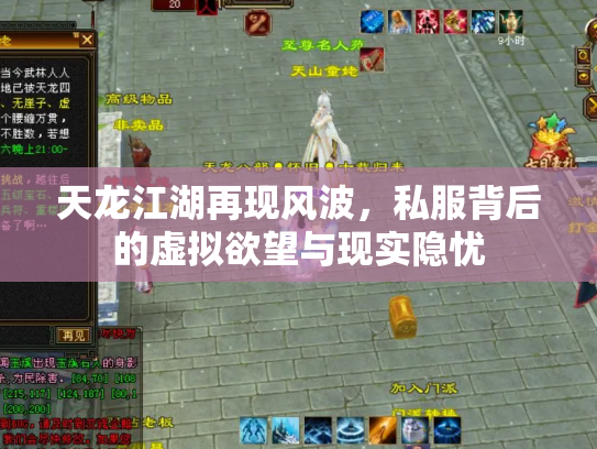 天龙江湖再现风波，私服背后的虚拟欲望与现实隐忧