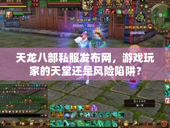 天龙八部私服发布网，游戏玩家的天堂还是风险陷阱？