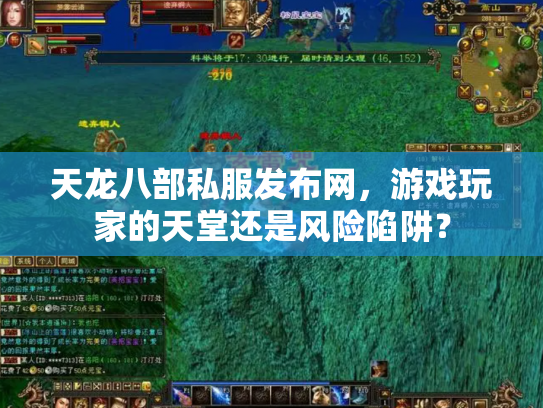 天龙八部私服发布网，游戏玩家的天堂还是风险陷阱？