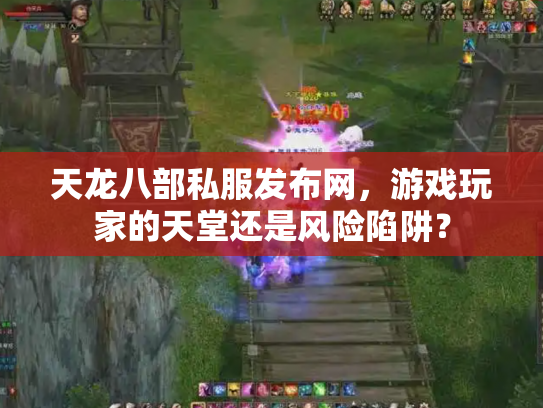 天龙八部私服发布网，游戏玩家的天堂还是风险陷阱？