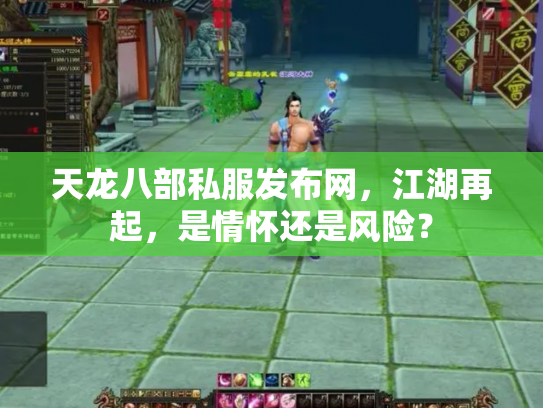 天龙八部私服发布网，江湖再起，是情怀还是风险？
