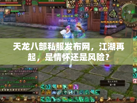 天龙八部私服发布网，江湖再起，是情怀还是风险？