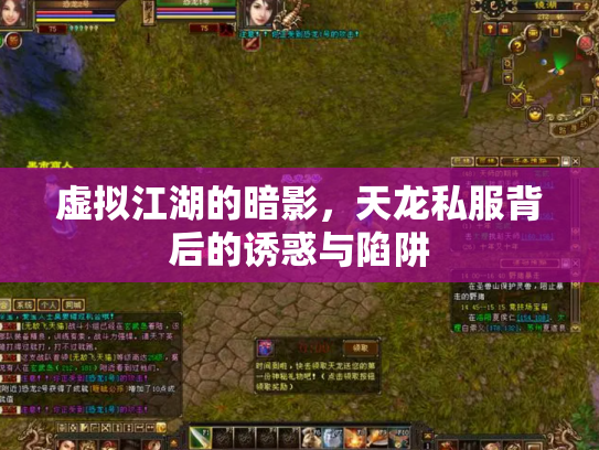 虚拟江湖的暗影，天龙私服背后的诱惑与陷阱