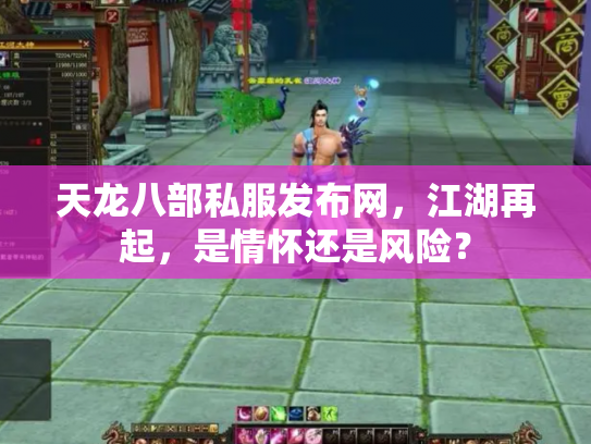 天龙八部私服发布网，江湖再起，是情怀还是风险？