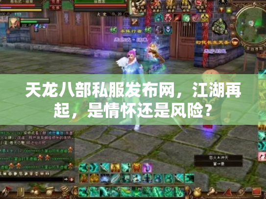 天龙八部私服发布网，江湖再起，是情怀还是风险？