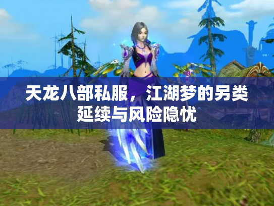 天龙八部私服，江湖梦的另类延续与风险隐忧