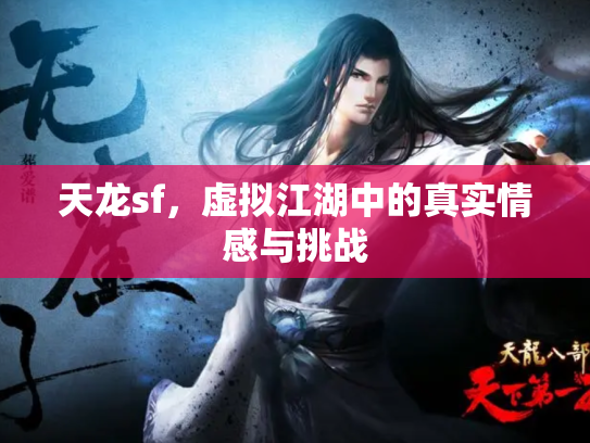 天龙sf，虚拟江湖中的真实情感与挑战