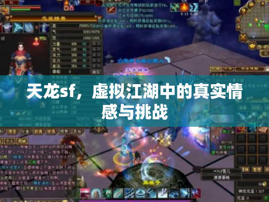 天龙sf，虚拟江湖中的真实情感与挑战