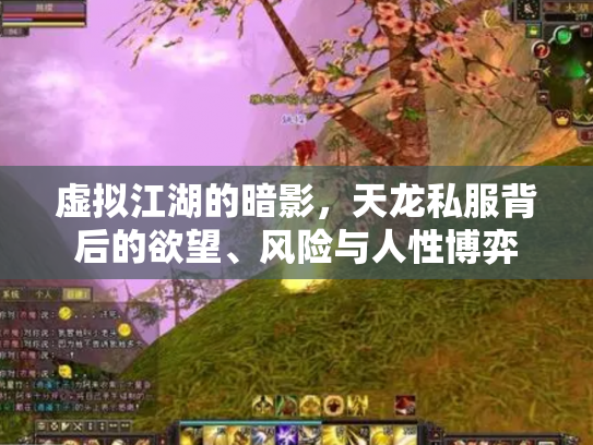 虚拟江湖的暗影，天龙私服背后的欲望、风险与人性博弈