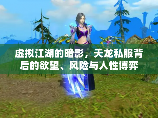 虚拟江湖的暗影，天龙私服背后的欲望、风险与人性博弈