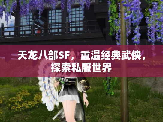 天龙八部SF，重温经典武侠，探索私服世界