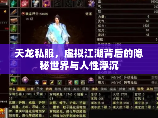 天龙私服，虚拟江湖背后的隐秘世界与人性浮沉