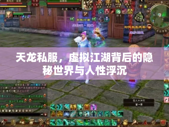 天龙私服，虚拟江湖背后的隐秘世界与人性浮沉